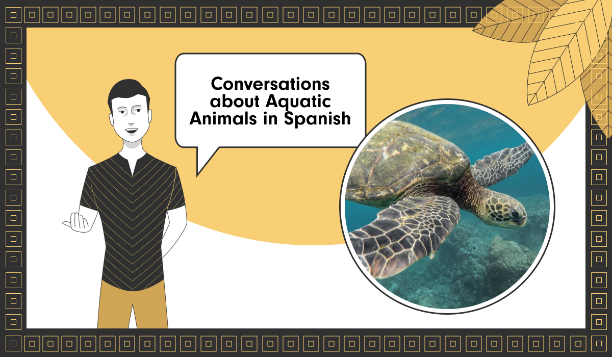Conversations about Aquatic Animals in Spanish