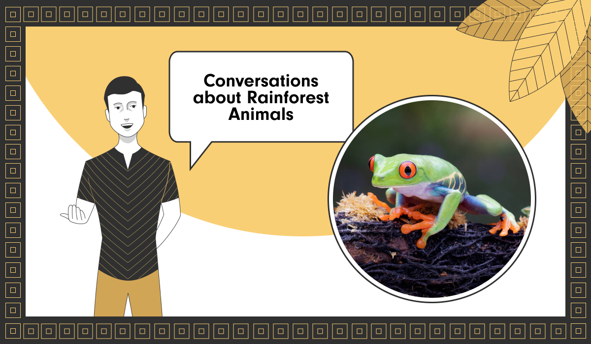 Conversations about Rainforest Animals